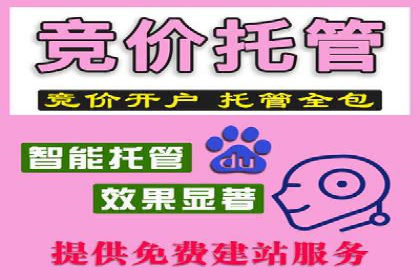 sem竞价推广托管：从零到一的成长历程
